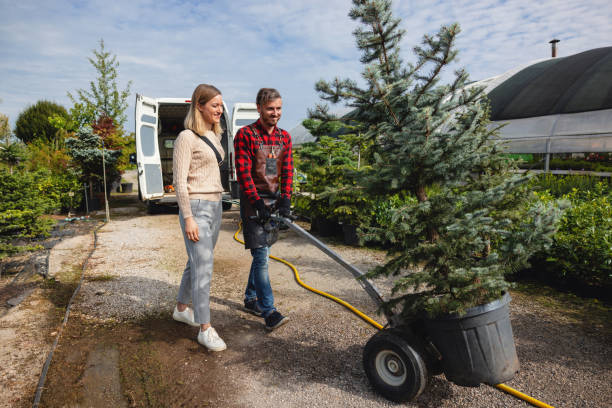 Best Tree Branch Trimming  in Le Grand, CA